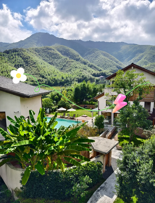 莫干山竹海中的民宿露台清晨