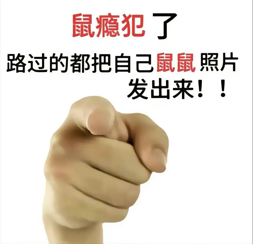 微信群聊中年轻人使用“鼠鼠我啊”梗的截图
