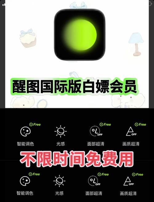 醒图APP加文字功能界面截图