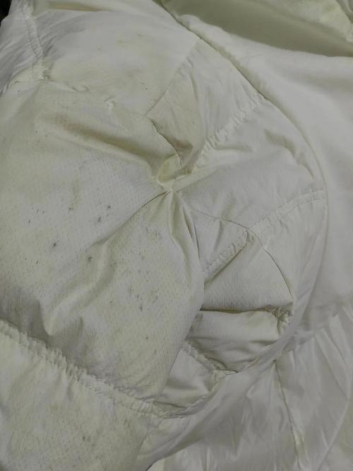 衣柜里受潮衣服上的霉斑特写