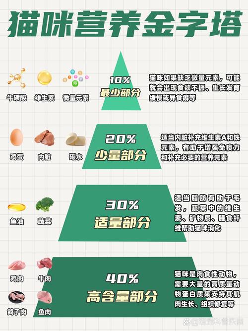 宠物鲜食钙磷比搭配比例示意图