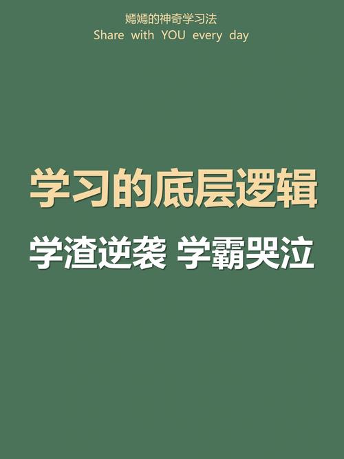 别乱砸钱报班，普通人的升学逻辑从来都是拼效率