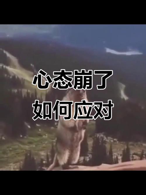 五、心态崩了，就让它崩一会儿