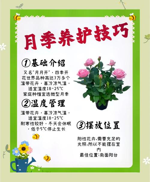 分月龄的静待花开实操指南