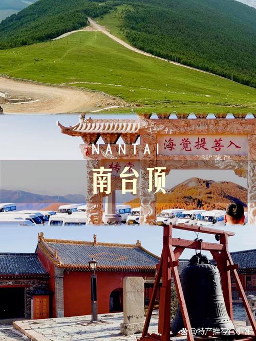 五台山南台顶夏日野花草甸景观