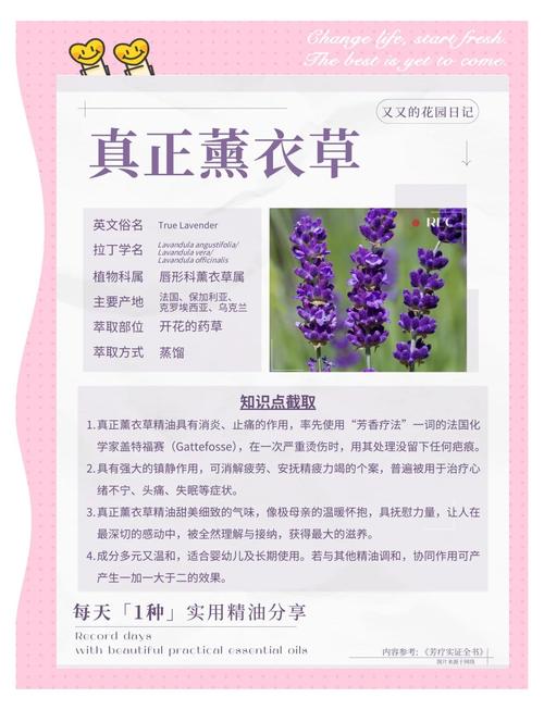 薰衣草精油科学研究图表