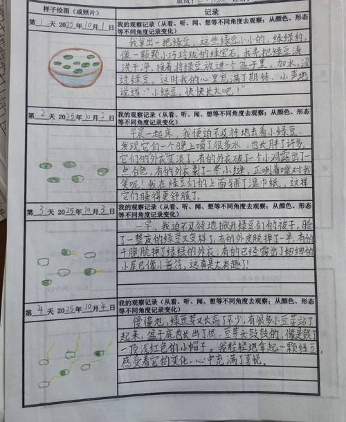 小学生书桌手写自然观察实验记录