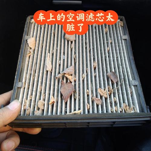 汽车副驾手套箱后取出的沾了杨絮的脏空调滤芯实拍