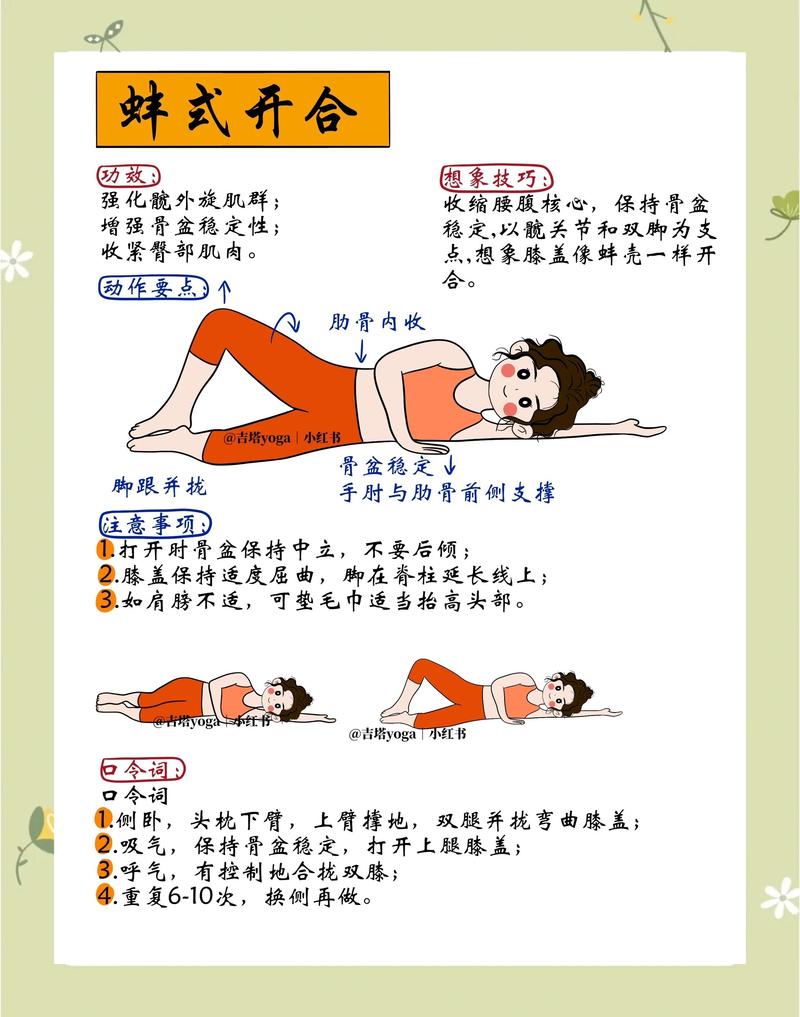 新手弹力绳蚌式动作标准示范图