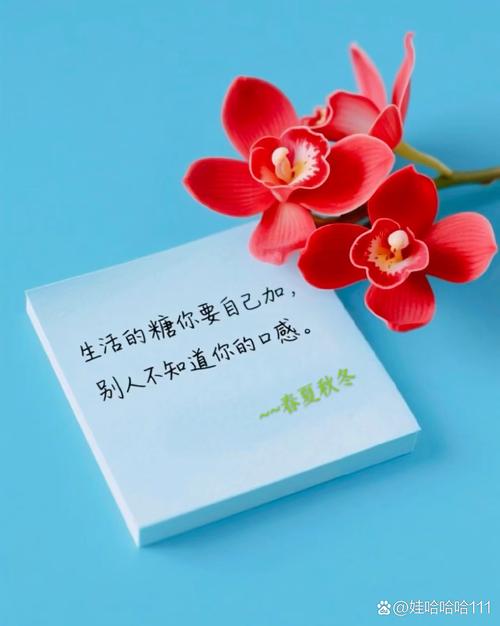秋冬:把温柔留得久一点