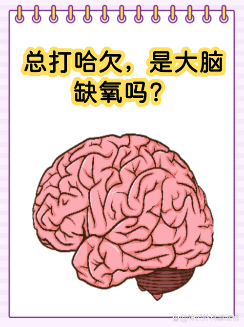 藏在哈欠背后的大脑“降温逻辑”