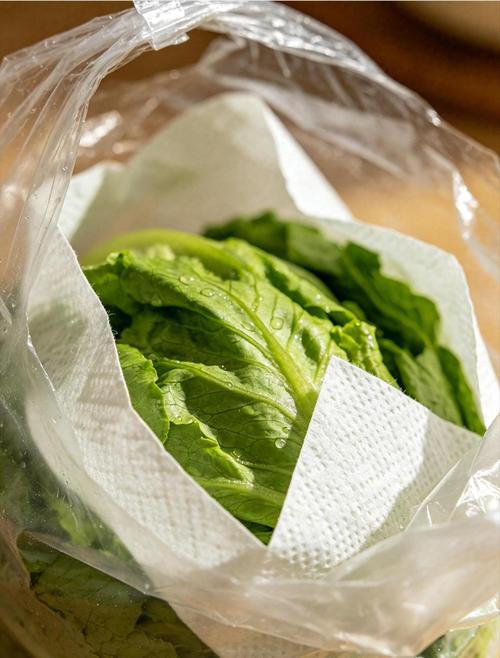 用厨房纸包裹的绿叶菜放透气保鲜袋存冰箱的实拍