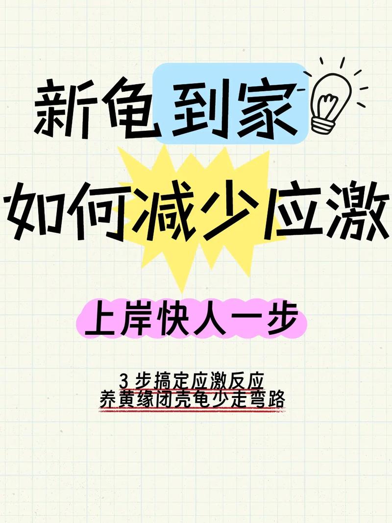 送养前做这三件事，能减少八成应激