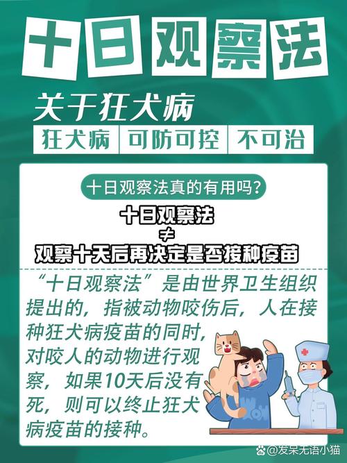 世卫组织狂犬病十日观察法科普图