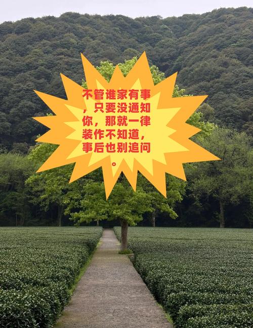 精准说清:谁能装,谁别碰