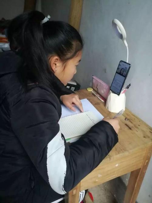 农村学生用手机在山坡上网课