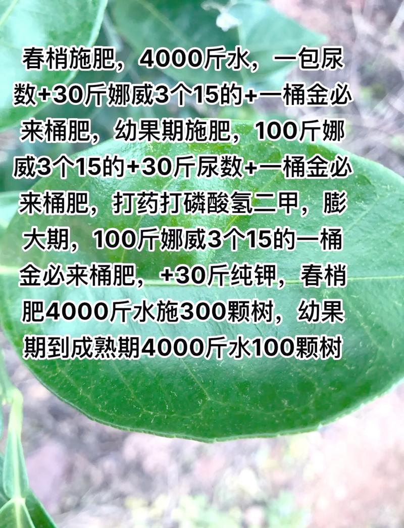 我现在的施肥节奏,真的没那么多讲究