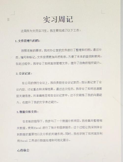 文书导师,可能是刚培训两周的实习生