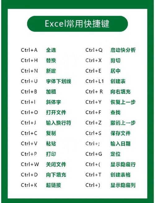 Excel格式复制快捷键操作演示图