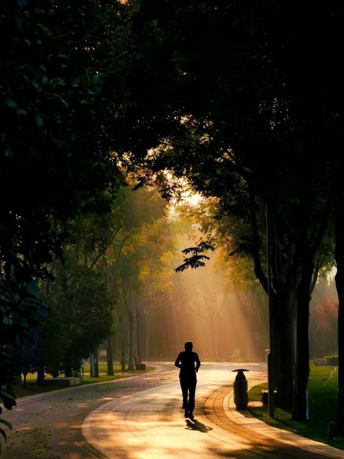 清晨公园里无人看管的跑者背影,阳光穿过树叶