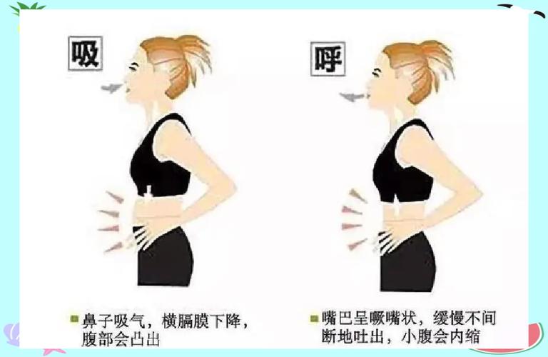 唱歌腹式呼吸正确位置示意图