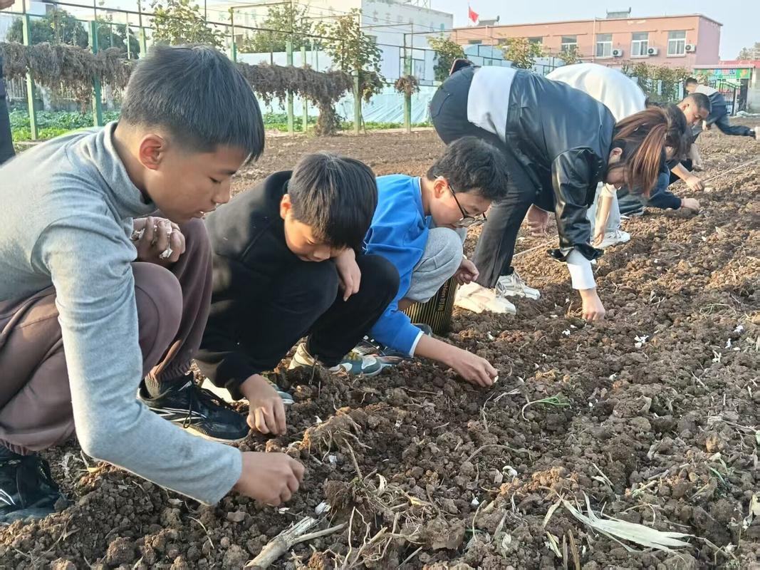小学班级种植园学生劳动实拍图