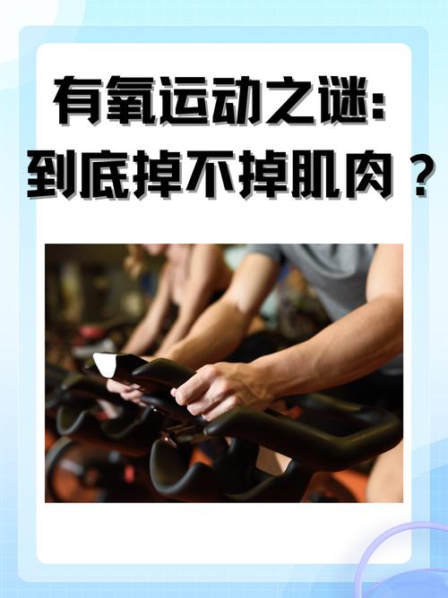 6. 增肌期需要做有氧吗？会不会掉肌肉？