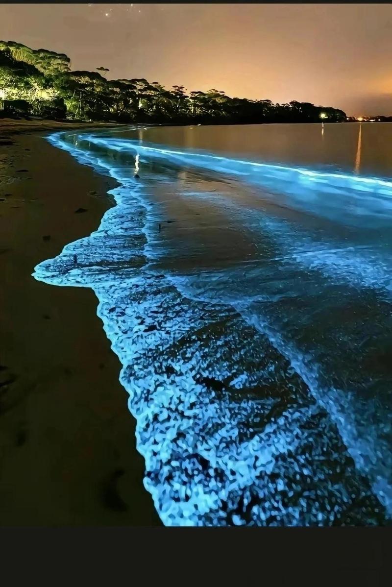 海岛度假蓝眼泪沙滩夜间实拍