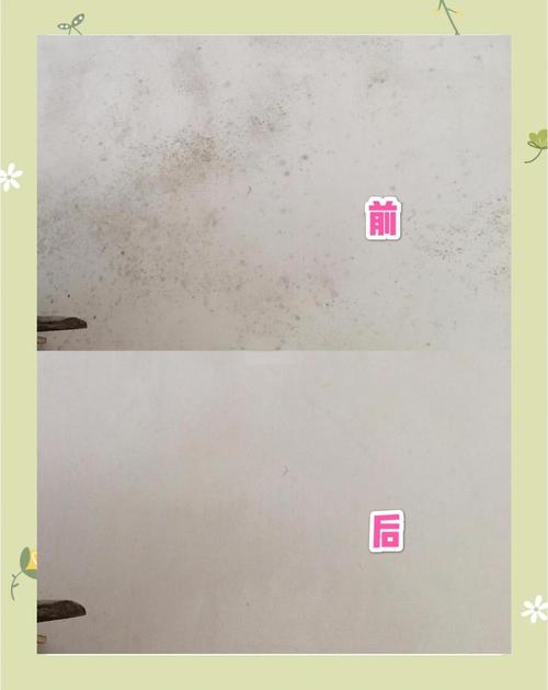 室内墙面除霉剂喷洒处理前后对比图