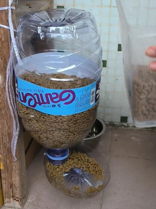 小学生设计制作流浪猫自动投喂器