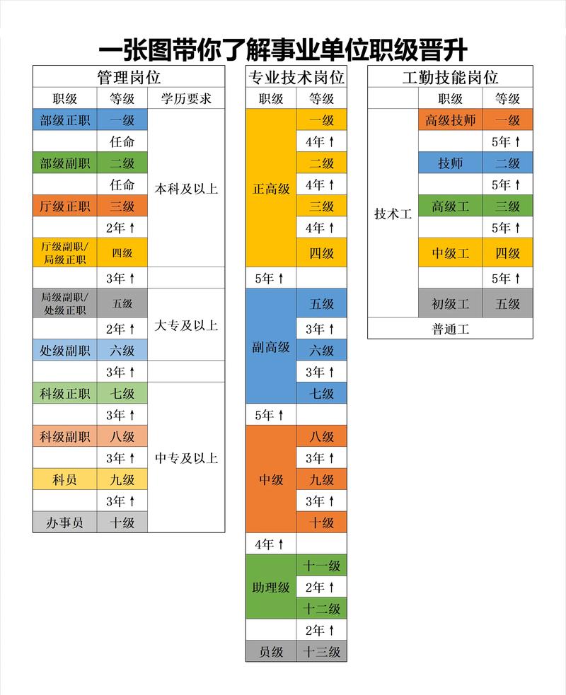职场学历技能双线晋升路径对比图