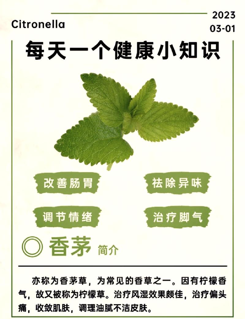 用草本除味,这些细节别忽略