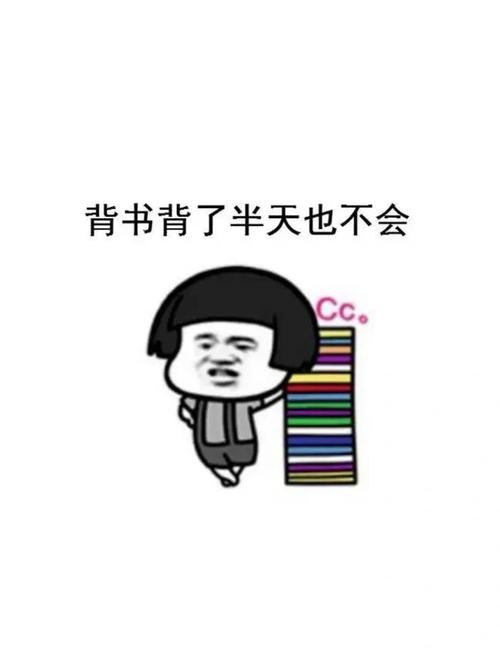 分区还不只是为了拿取方便,还关乎你的背
