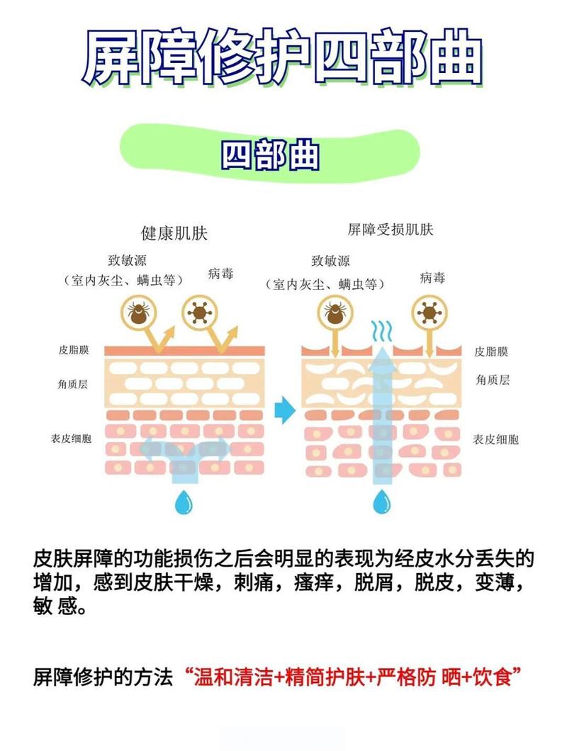 不同肤质，温和洗护的调整思路