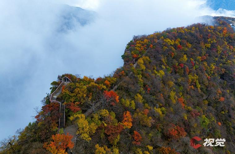 光雾山红叶航拍