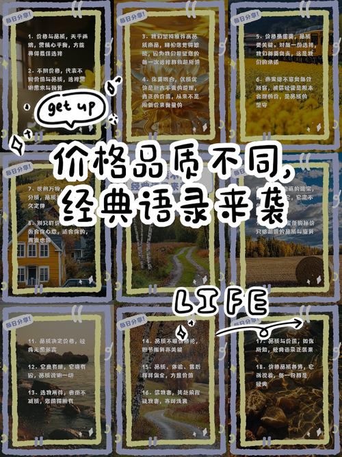 五、关于品牌和价格,我说点大实话
