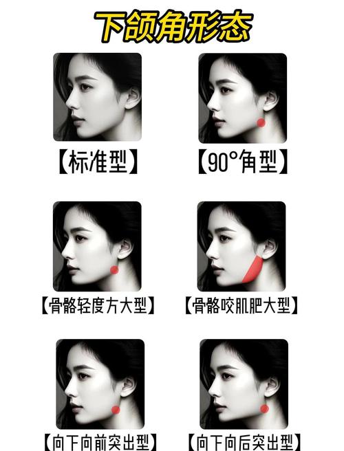 方圆脸下颌角角度对照示意图