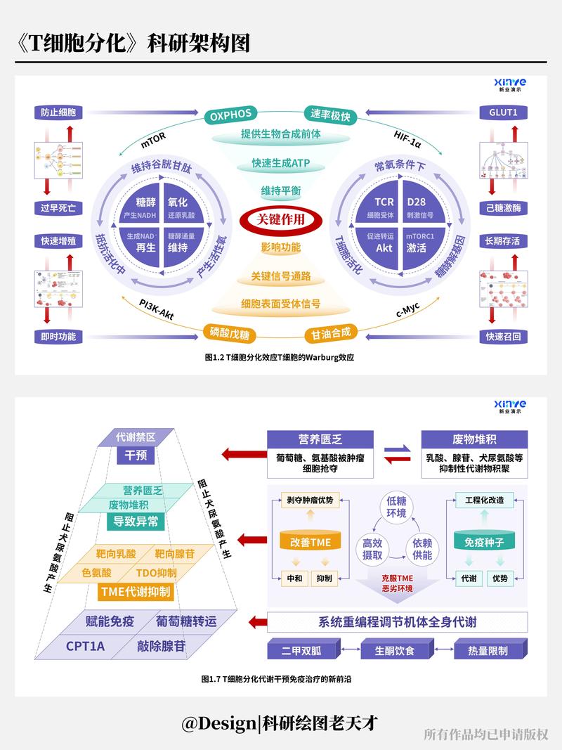 科研业务线共同能力梳理示意图
