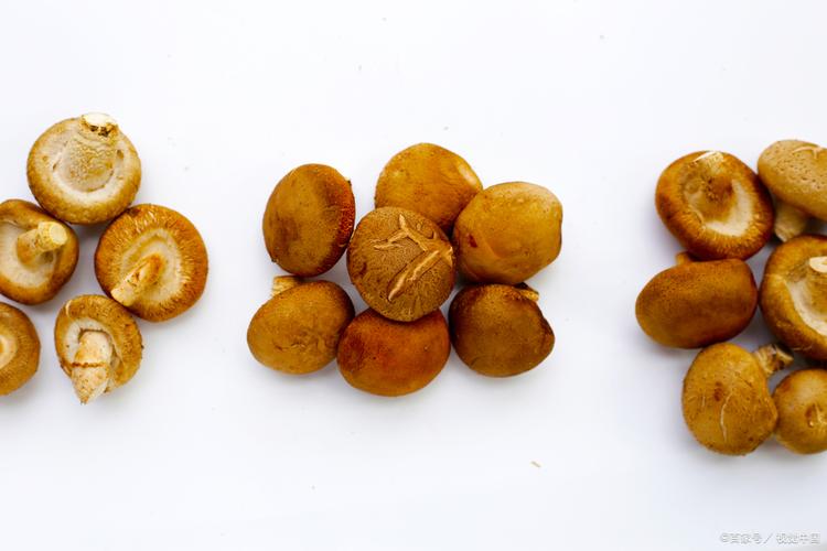 牛皮纸袋包裹新鲜菌菇放在冰箱冷藏室