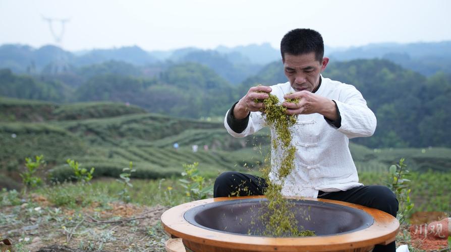 湖北南漳磨坪贡茶手工炒制场景