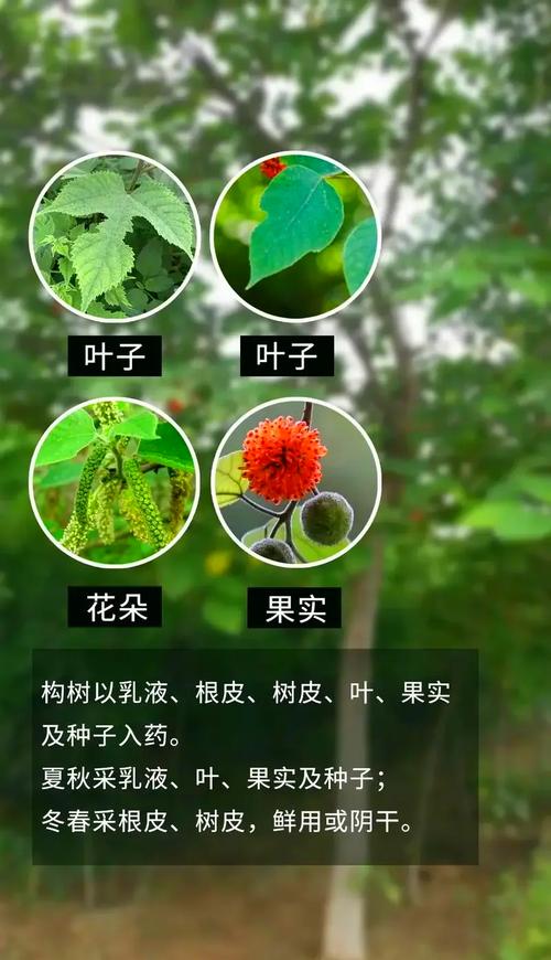 🌿 环保与入住