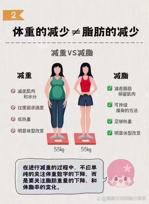 相同重量脂肪与肌肉体积对比示意图
