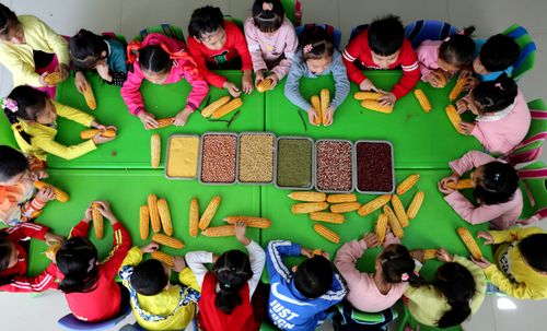 学龄前儿童分拣五谷杂粮专注力游戏场景