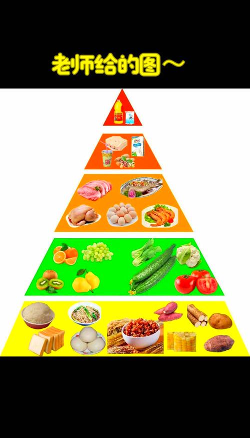 中学生在课堂上分组搭建食物金字塔模型