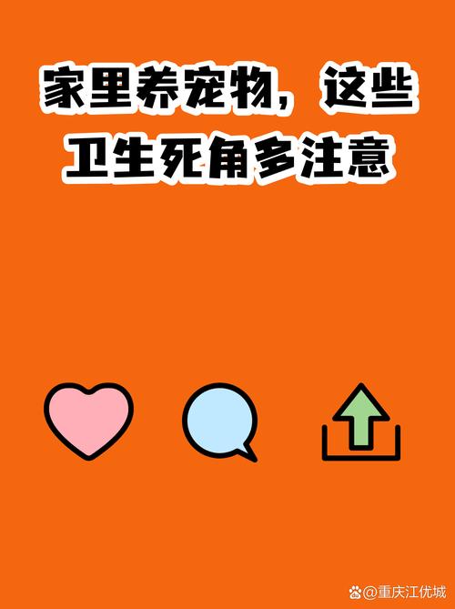 家庭养宠常见消毒死角位置实拍图