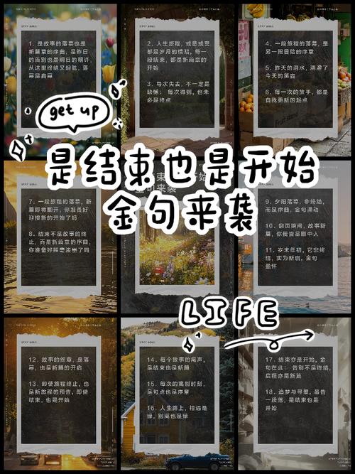 服务才是照妖镜:验收不是结束,是开始