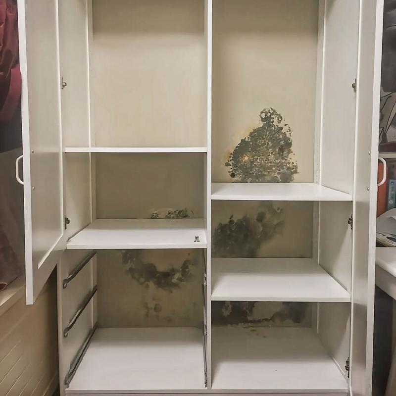 南方回天后发霉掉渣的毛坯衣柜内壁图