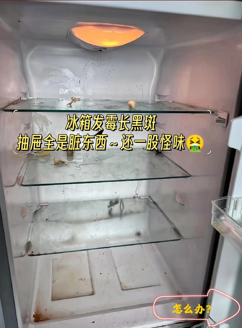 自家冰箱不是保险箱