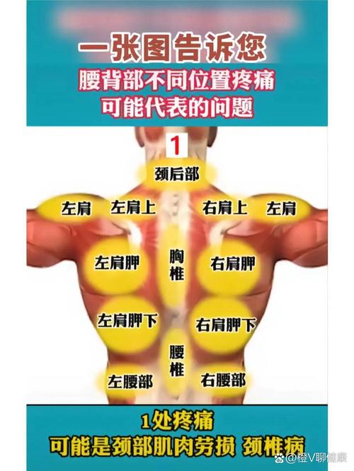 选款式之前，先搞清楚自己的身体“痛点”