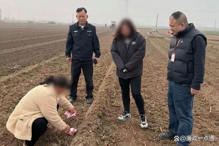 法律踩过田埂的温度